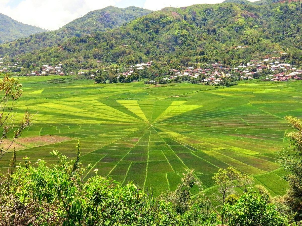 Sawah Lingko